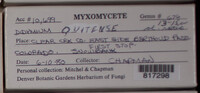 Image Associated With the Occurence